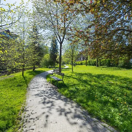 Rent Like Home - Sienkiewicza