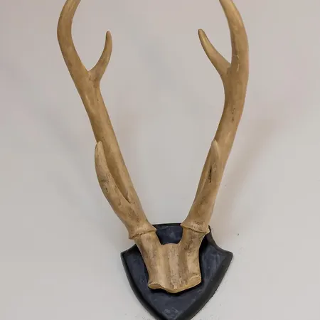 Rent Like Home - Sienkiewicza Apartment