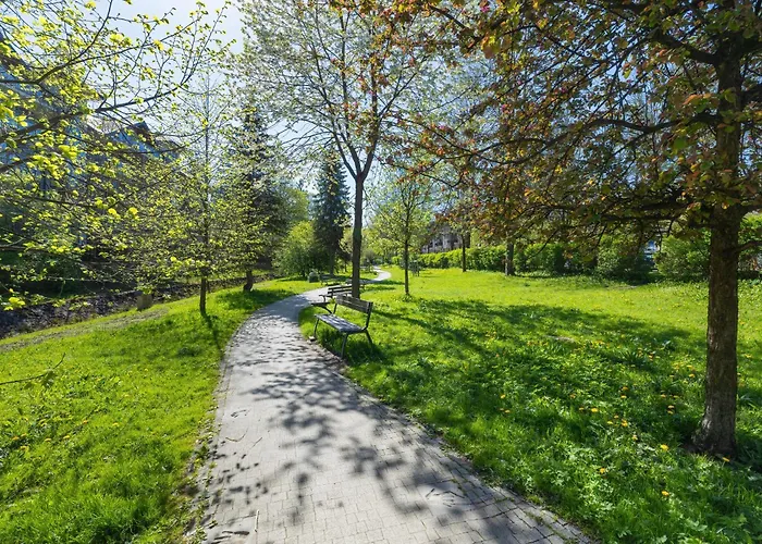 Rent Like - Sienkiewicza