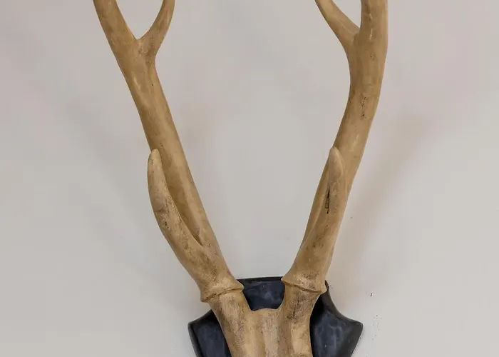 Rent Like - Sienkiewicza Apartamento